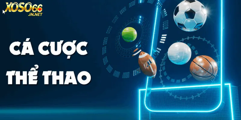 Đặt cược đa dạng môn thể thao hot hit mỗi ngày