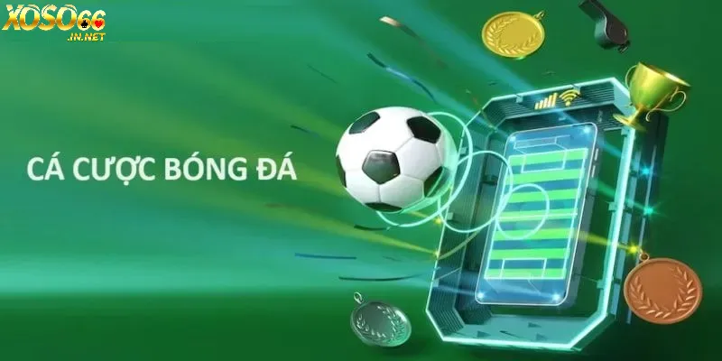 Cá cược mỗi ngày với vô vàn trận cầu đỉnh cao