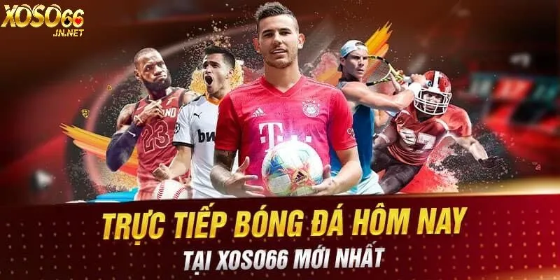 Phát sóng trực tiếp bóng đá siêu sắc nét mỗi ngày